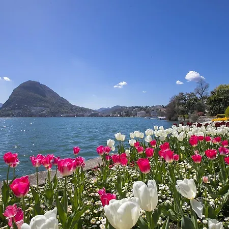 Central Apartment Lugano